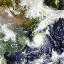 [속보] 초강력태풍 '난마돌' 한반도 영향..중대본 2단계로 격상, 위기경보는 '경계' 이미지