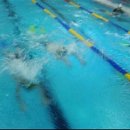 120924 이규원 이규민 안산유아체육 안산어린이수영 수영개인레슨 안산어린이스포츠클럽 코리아키즈스포츠 이미지