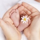 하나산전 이미지