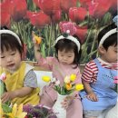 꼬마대통령어린이집 - 광주시 | 꼬마대통령어린이집