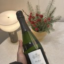샴페인 피올로 꼼 데 딸랑 드 누아 2019 Piollot Come des Tallants 맛있는 프랑스 와인 추천