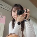 사계2248 이미지