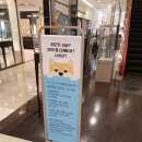뚠뚠이스토어2
