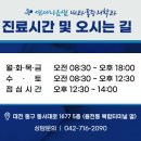 연세나음샘내과, 마취통증의학과
