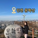 삼호아이엔디(주) | [등산/인천] 문학산 등산코스 추천ㅣ 장미근린공원 주차ㅣ등린이추천산 ㅣ가볍게 다녀오기 좋은산