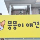 뭉뭉이애견 네이버블로그