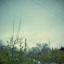 대곡양곡 이미지