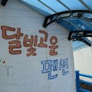 제주달빛 | 제주 월정리해변 근처 숙소 ‘달빛고운펜션’ 장단점 예약 내돈내산 후기