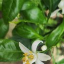 상효2동 이미지