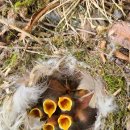 동강(주) 이미지