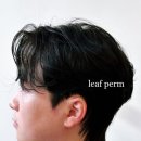 티지헤어살롱 - 서구 청라커낼로288번길 10 | 티지헤어살롱