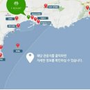 와이쉼표 이미지