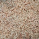 광천원토굴새우젓 이미지