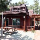 몽산포파인 이미지