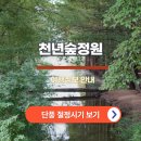 숲정원 이미지