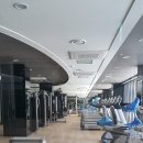 강남-206 이미지