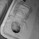 강성 | 수면교육 시기 백일 수면교육 강성울음 후기