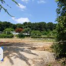 서도중학교 볼음분교 이미지