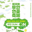 “2025 무안 연꽃축제 일정·후기｜주차·야간 조명·포토존 꿀팁까지 총정리”