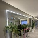 잠실믿음정형외과의원 | 잠실정형외과] 잠실 르엘 신규오픈 정형외과 ‘르본정형외과의원 진료 솔직후기_일요일도 진료하는...