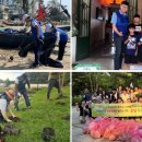 세아 카카오 검색결과