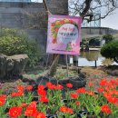 메이즈랜드 이미지