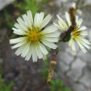 신현중학교 이미지