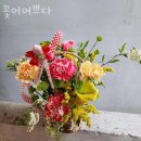 꽃 어여쁘다 | 관양동꽃집 꽃어여쁘다 가격 위치 영업시간