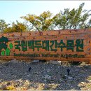 국립백두대간수목원 방문자센터 이미지