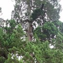 우각리 오의정 이미지