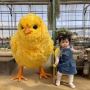 아이와농장 네이버블로그