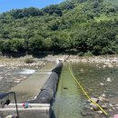 화개천 | 하동/ 화개천 평상대여 가능한 곳 정금교 &#34;하얀집펜션&#34; 계곡 물놀이, 낚시