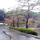 포항골프장(대중9홀) 이미지