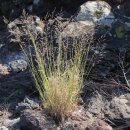 동보수산 이미지