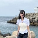 용인스타일 이미지