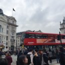 Street Circus 이미지