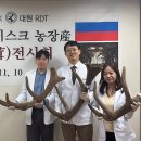 보조개한의원