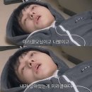 고2 렛츠고도리