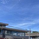 피톤치드 | [세부여행] 막탄 마사지샵(Nuat Thai, 스파 피톤치드) 후기