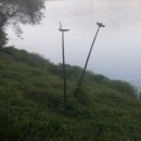 비내길 2구간 이미지