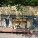 마비정농장 이미지