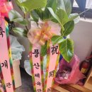 명문법무사김수환