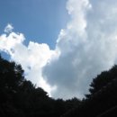 야단법석 이미지