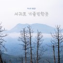 UR(서귀포시)-[토평로]-상-6 | 제주 서귀포 가볼만한곳_올레시장 카페 맛집 관광지 왕창