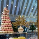 트립레시피 이미지