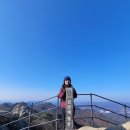 댕그루루 이미지