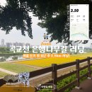 은행나무길 | [오늘러닝] 아산 곡교천 은행나무길 퇴근 후 러닝(3.5km) 여름이 오기전 뛰는 러닝