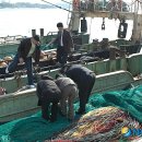 동해-단속-49 이미지