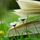 잉글리쉬에비뉴 이미지