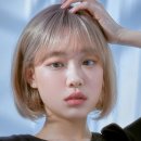 J살롱 - 상주시 | J살롱